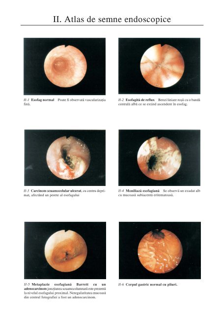 atlas color2.p65 - Cursuri Medicina