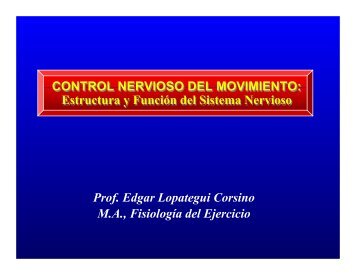 Control Nervioso del Movimiento Humano - Saludmed