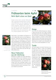 FrÃ¼hsorten beim Apfel (4-2011)