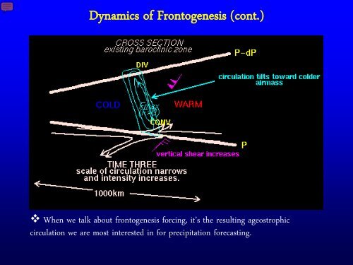 Prediction of Frontogenetically Forced Precipitation Bands