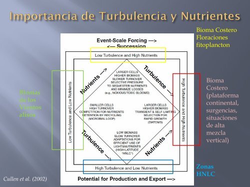 8. Biomas y Las Zonas Ecuatoriales.pptx