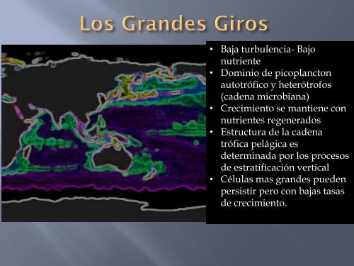 8. Biomas y Las Zonas Ecuatoriales.pptx