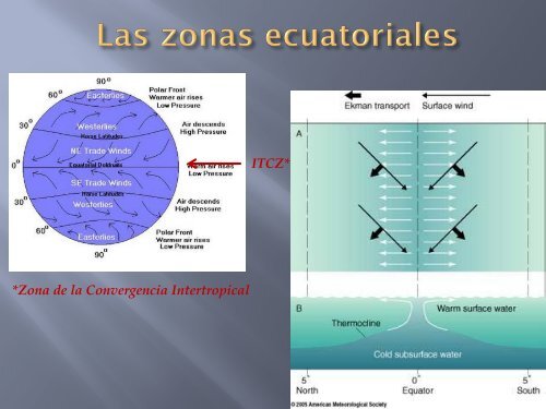 8. Biomas y Las Zonas Ecuatoriales.pptx