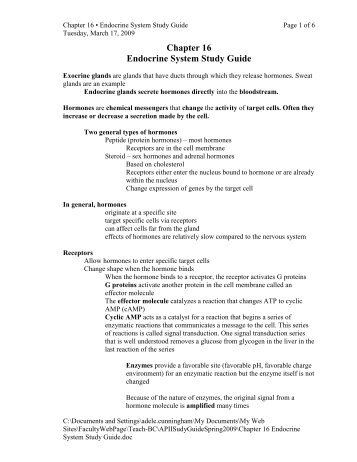 System System