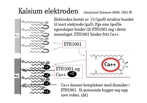 Ioneselektive elektroder - Legeforeningen