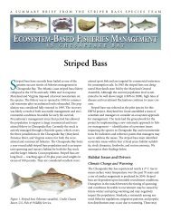 Striped Bass Summary_Blue Crab Status02001-8.5x11