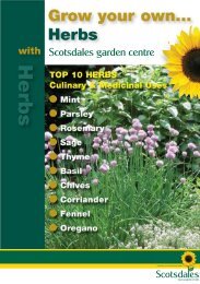 Download the Planting and growing guide for Herbs - Scotsdales ...