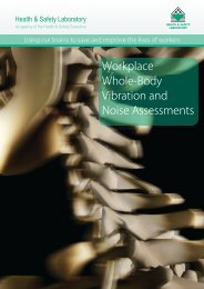 Workplace Whole-Body Vibration and Noise Assessments