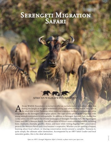 Serengeti Migration Safari - African Wildlife Foundation