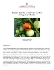 Blossom-End Rot and Calcium Nutrition of Pepper and Tomato