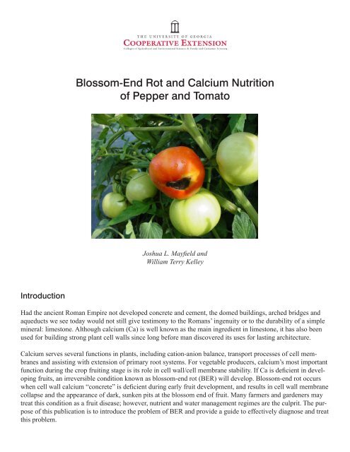 Blossom-End Rot and Calcium Nutrition of Pepper and Tomato