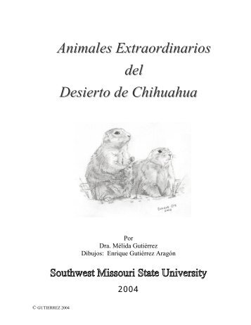 Animales Extraordinarios del Desierto de Chihuahua