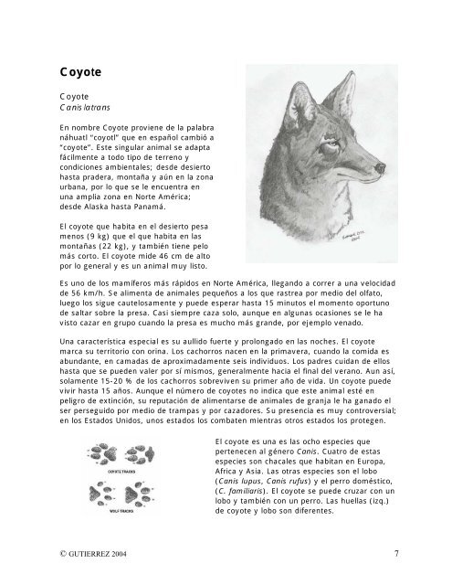 Animales Extraordinarios del Desierto de Chihuahua