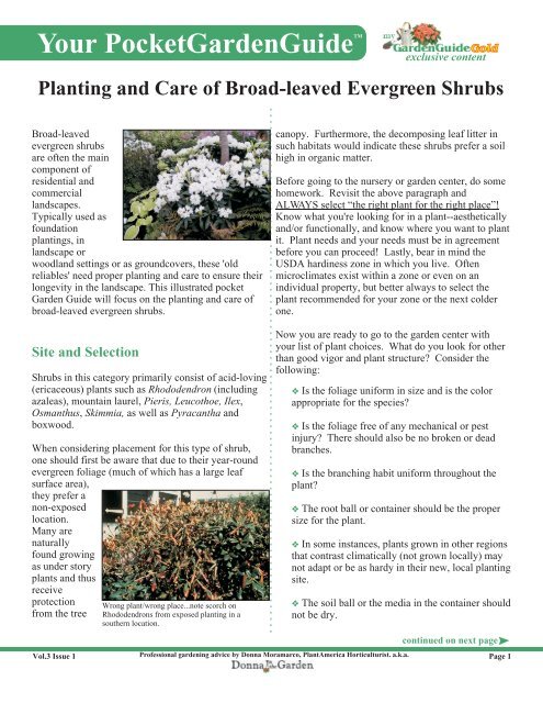 Planting and Care of.. - Online Gardener