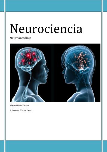 Neuroanatomia. Temario completo.pdf - VeoApuntes.com
