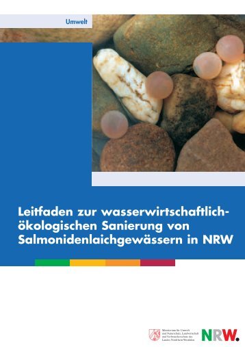 Leitfaden zur wasserwirtschaftlich- ökologischen ... - IGW NRW