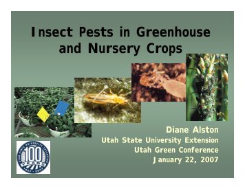 Insect Pests in Greenhouse and Nursery Crops - Utah Pests - Utah ...