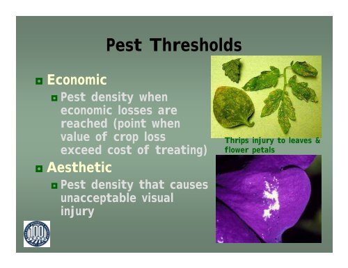 Insect Pests in Greenhouse and Nursery Crops - Utah Pests - Utah ...