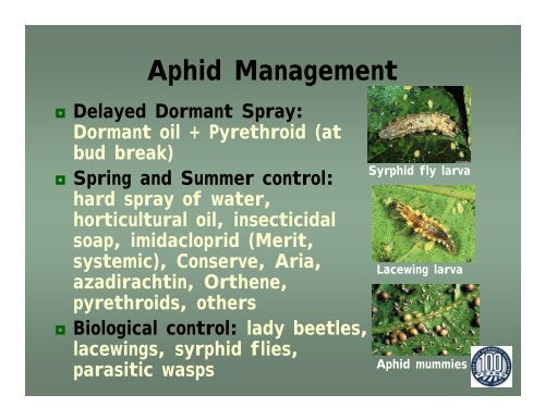 Insect Pests in Greenhouse and Nursery Crops - Utah Pests - Utah ...