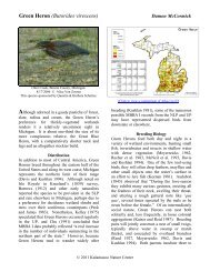 Green Heron - Michigan Breeding Bird Atlas Website