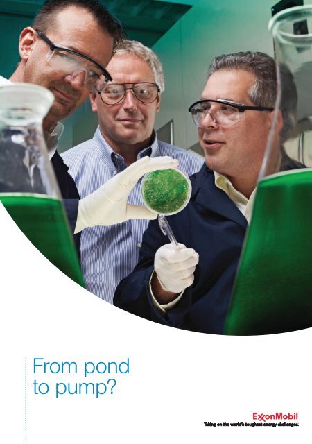A5 Algae leaflet - ExxonMobil in the UK