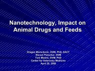 Nanotechnology and the Animal Drug Approval Process