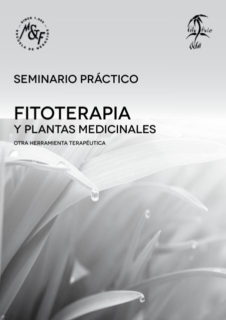 Bilbao-Fitoterapia-y-plantas-medicinales