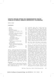 cryptic species within the dendrophidion vinitor complex in middle ...