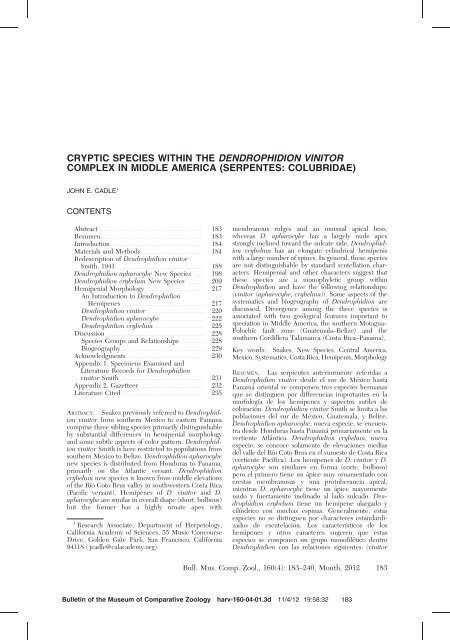 cryptic species within the dendrophidion vinitor complex in middle ...