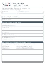 Ffurflen Gais Application Form - S4C