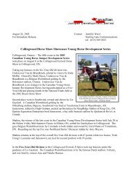 Collingwood Horse Show Showcases Young Horse Development ...