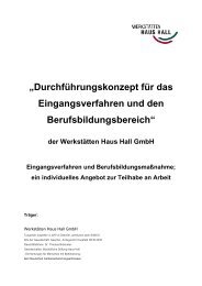 „Durchführungskonzept für das Eingangsverfahren und ... - Haus Hall