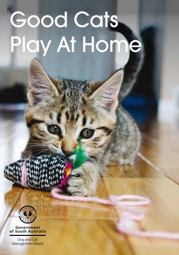 Good Cats Play At Home - City of Burnside