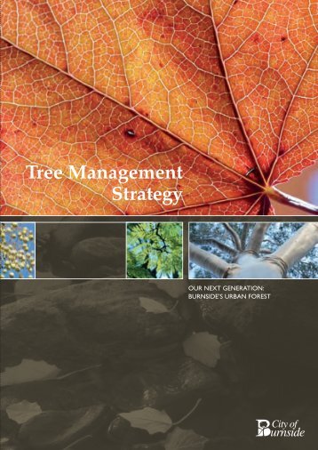 Tree Management Strategy - City of Burnside