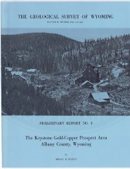 The Keystone Gold-Copper Prospect Area, Albany County, Wyoming