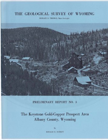 The Keystone Gold-Copper Prospect Area, Albany County, Wyoming