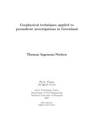 Geophysical techniques applied to permafrost investigations in ...