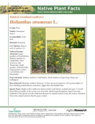 Developed by: Doug Landis, Anna Fiedler and Rufus - Native Plants ...