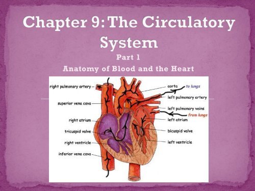 Chapter 9 Part 1 Lecture Notes.pdf