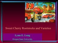 Sweet Cherry Rootstocks and Varieties - Utahhort.org