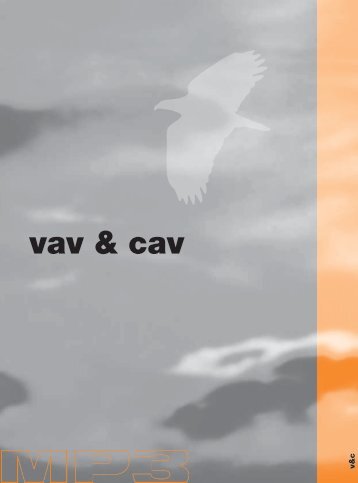 vav & cav - Mp3