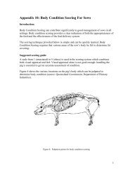 Appendix 10: Body Condition Scoring For Sows - CQA