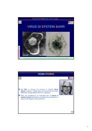 VIRUS DI EPSTEIN BARR - Sezione di Microbiologia
