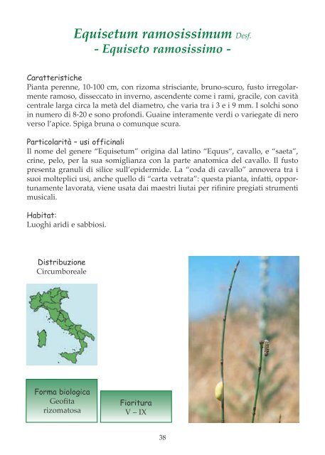 Le regine delle dune - WWF Italia