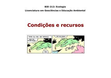4 - Condições e recursos (pdf)