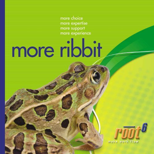 Download our company brochure - Root6