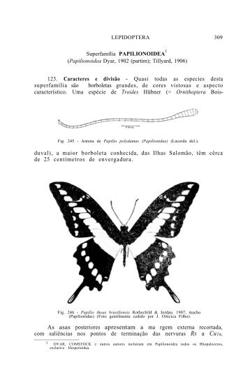 SuperfamÃƒÂ­lia PAPILIONOIDEA - Acervo Digital de Obras Especiais