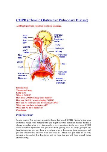 COPD (CHRONIC OBSTRUCTIVE PULMONARY DISEASE)