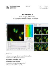 SPCImage 4.0 - Becker & Hickl