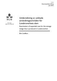 Elin Lindfors - DiVA